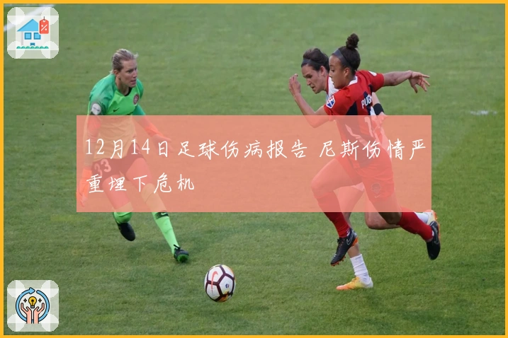 12月14日足球伤病报告 尼斯伤情严重埋下危机